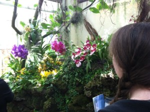 Tip of the day: Buy an Orchid! I have just adored mine.. and with a little research they are so easy to keep up! 1. Keep in off-light, 2. Water sparingly once a week! See the recipe section for more Orchid tips!